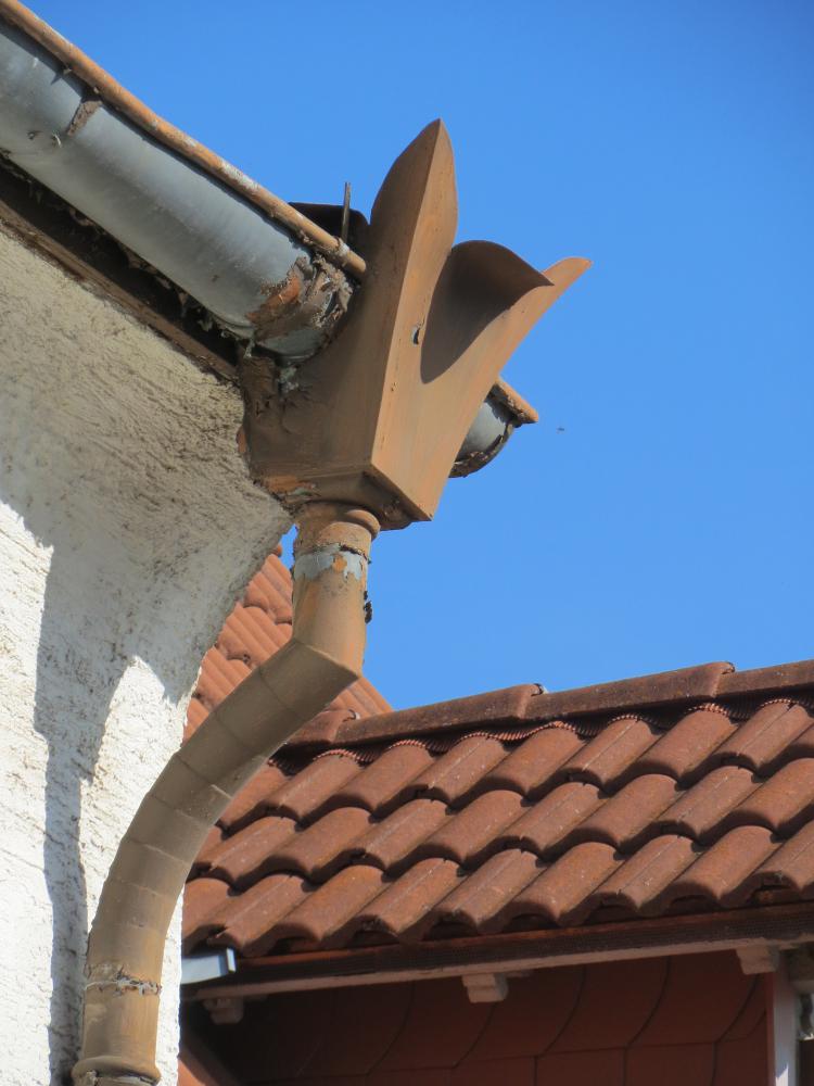 Toiture, gouttière 