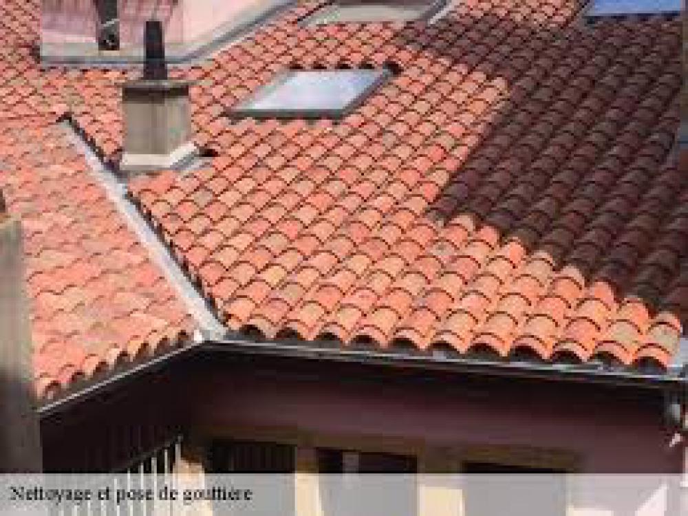 Pose et réparation de velux