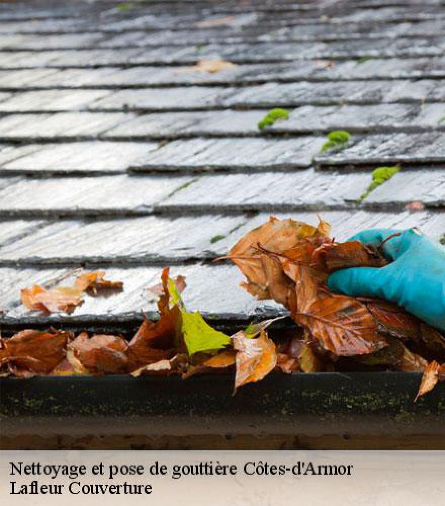 Nettoyage et pose de gouttière