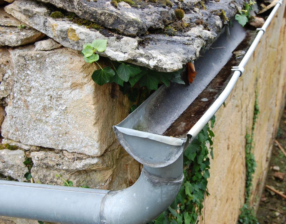 Gouttière, résidus de feuilles 