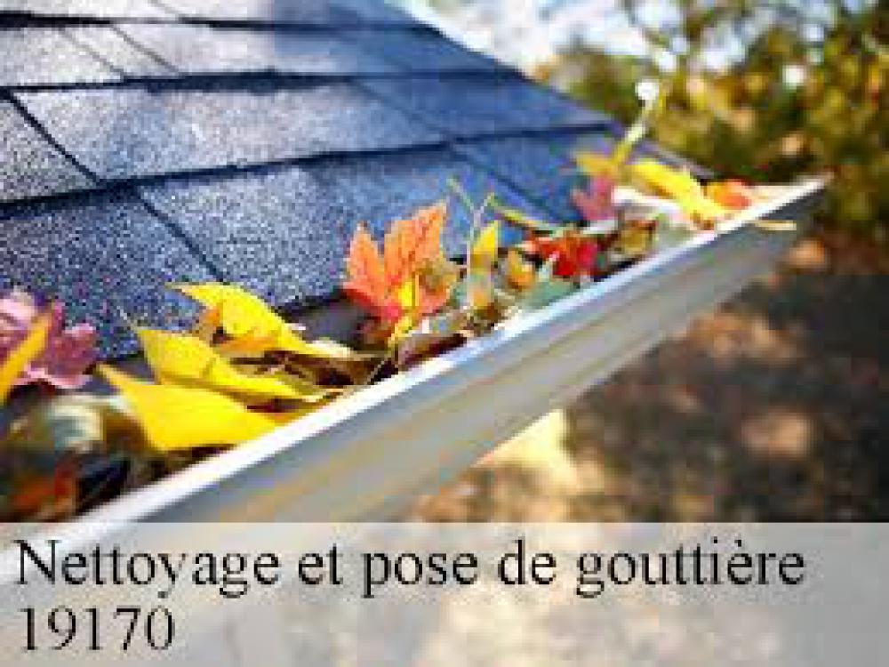 entretien gouttière