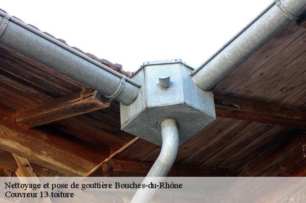 Nettoyage et pose de gouttière.