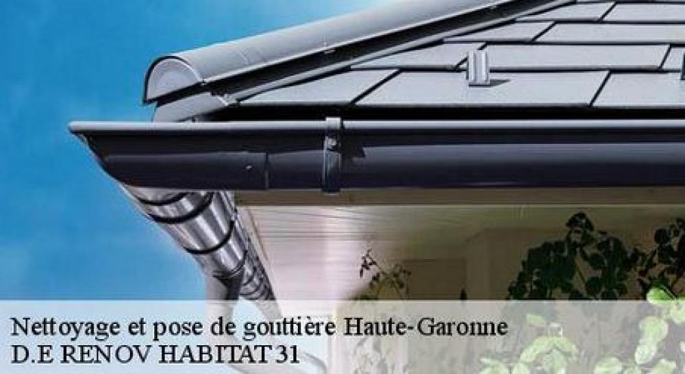 D.E Renov Habitat 31 efficacité sur la gouttière dans le 31