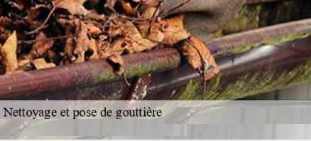 pour nettoyer vos gouttières dans 13
