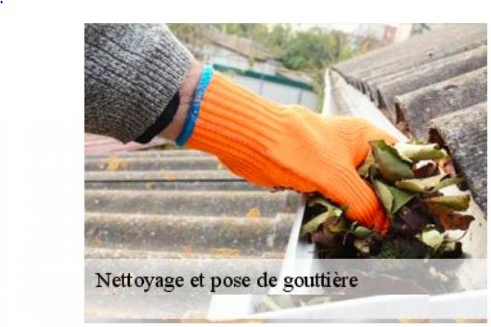 M.Staelen: nettoyage de gouttière 60
