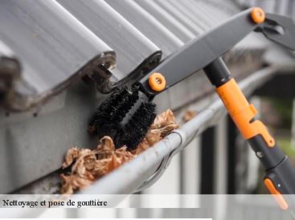 référence en nettoyage de gouttière