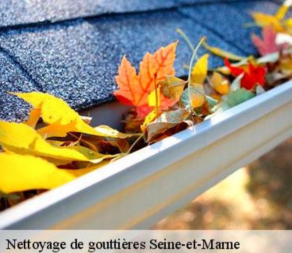 nettoyage de gouttière dans 77