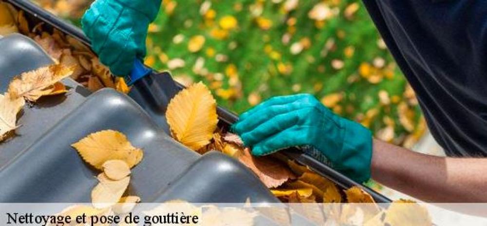 Nettoyage parfait de gouttière 11